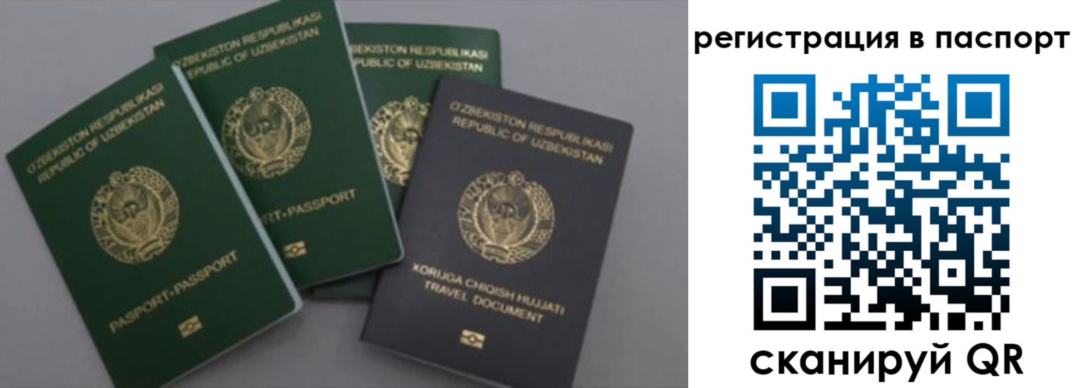 прописка от собственника в Бронницах